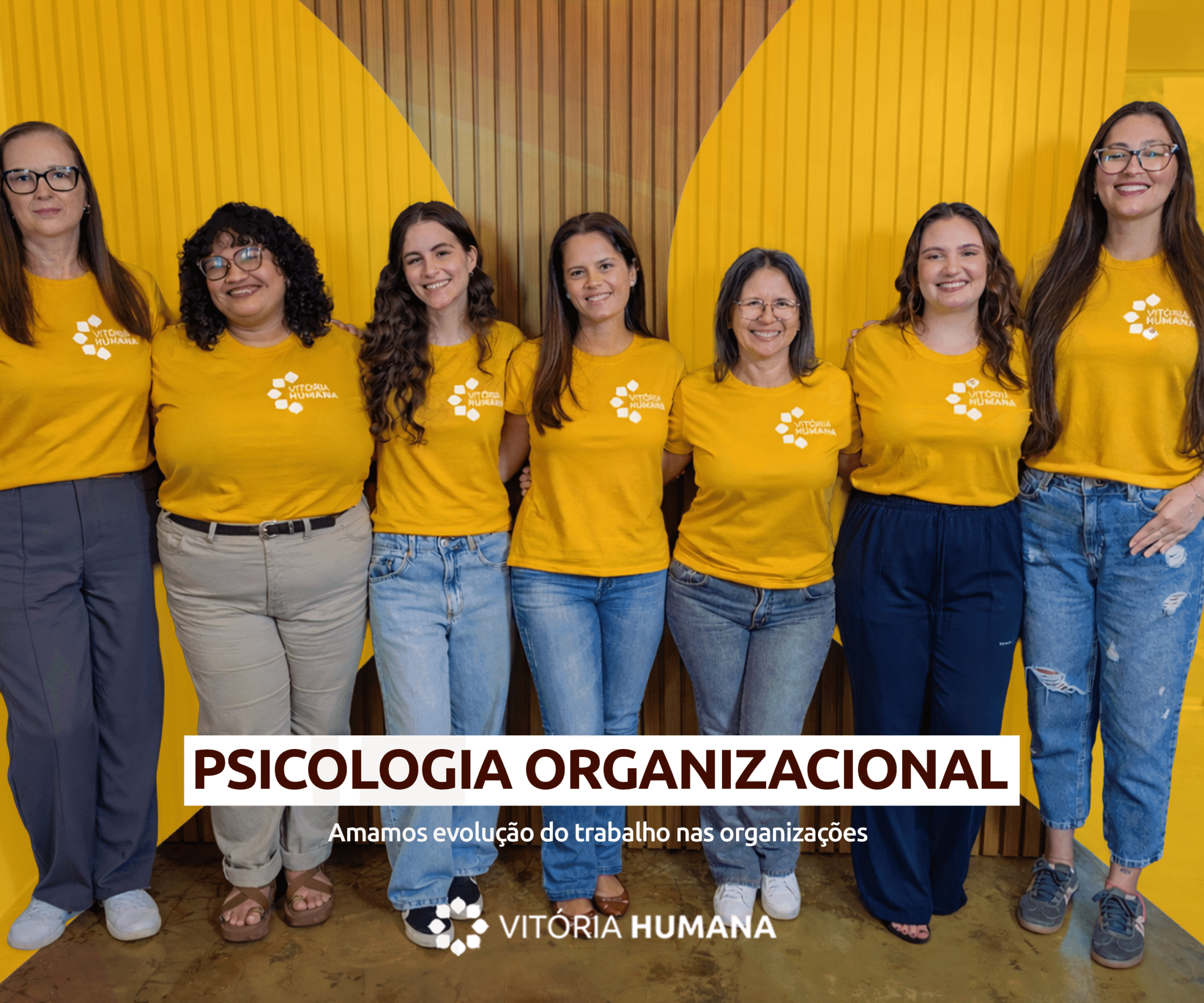 Psicologia Organizacional